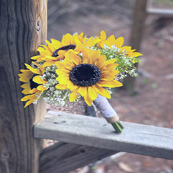 Sunflower and Baby's Breath Bouquet Wedding Bouquet - Etsy